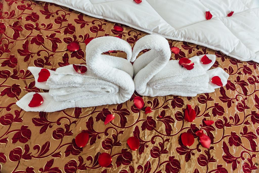 Hotel Azzurro 4*